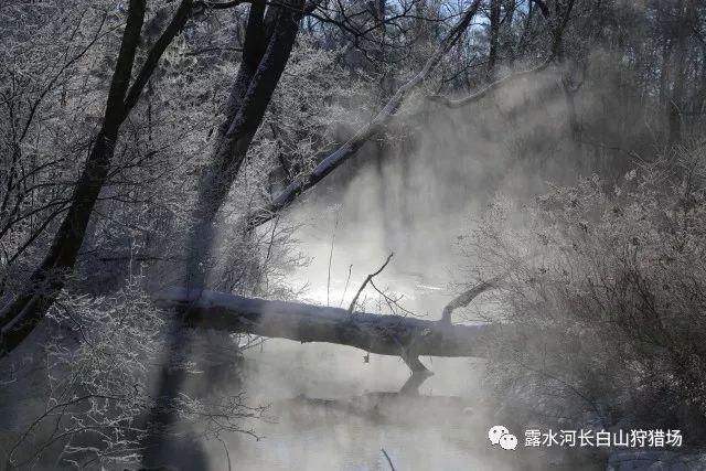 股指期货全线下挫 IH主力合约跌1.45%